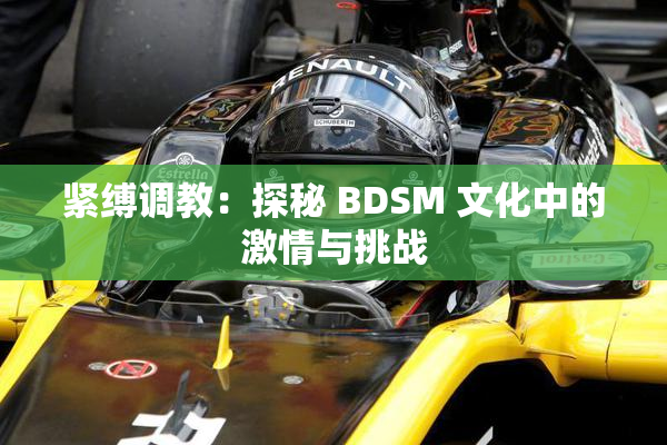 紧缚调教：探秘 BDSM 文化中的激情与挑战