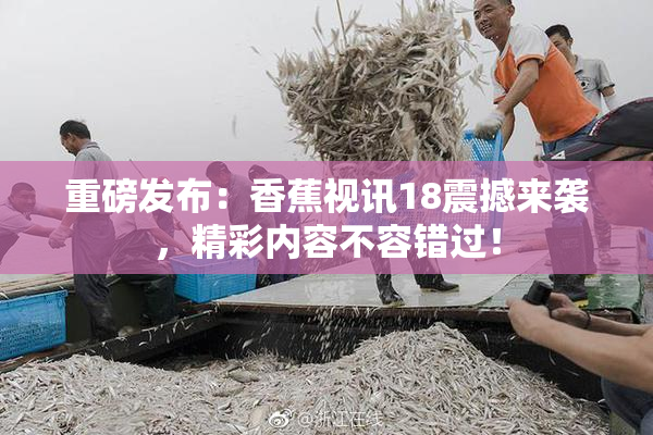 重磅发布：香蕉视讯18震撼来袭，精彩内容不容错过！