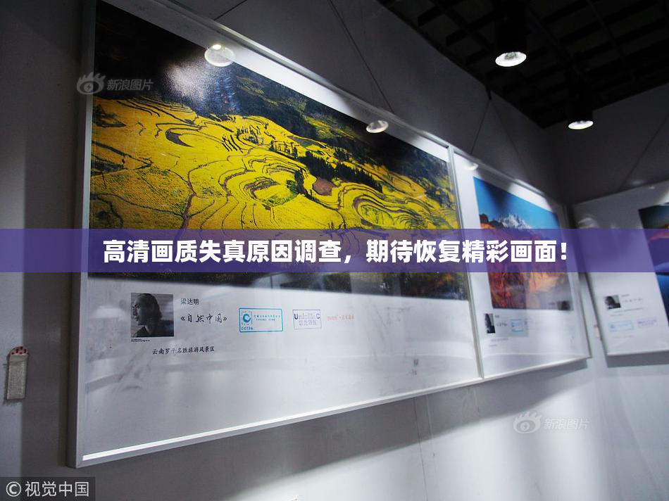 高清画质失真原因调查，期待恢复精彩画面！