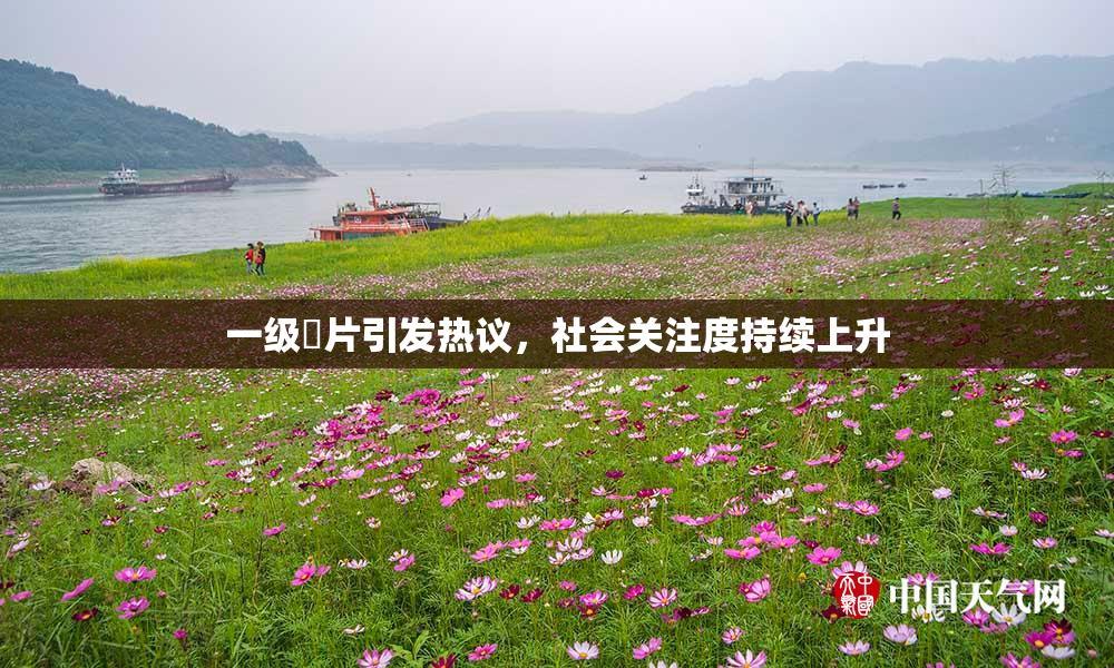一级婬片引发热议，社会关注度持续上升