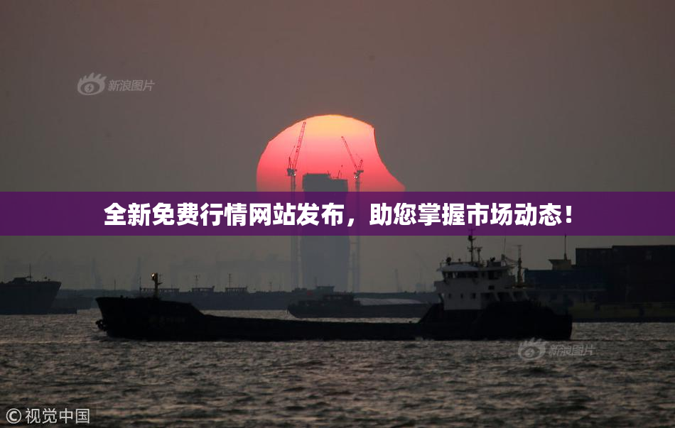 全新免费行情网站发布，助您掌握市场动态！
