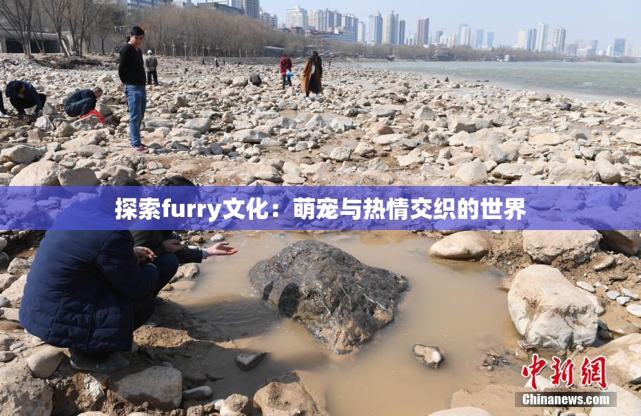 探索furry文化：萌宠与热情交织的世界