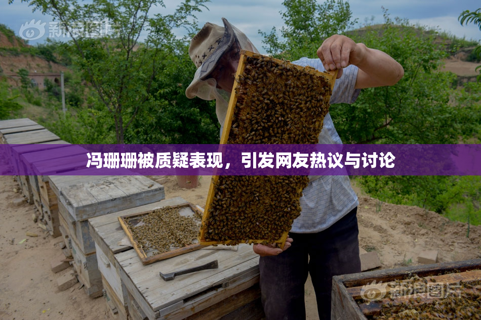 冯珊珊被质疑表现，引发网友热议与讨论