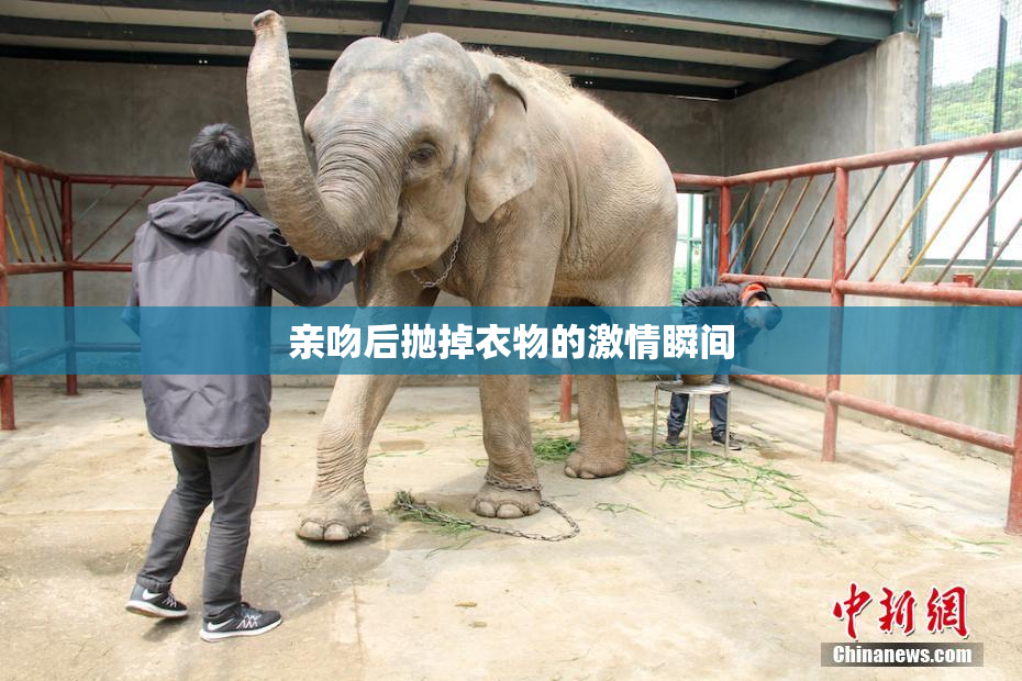 亲吻后抛掉衣物的激情瞬间