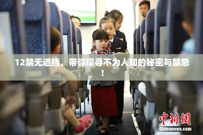 12禁无遮挡，带你探寻不为人知的秘密与禁忌！