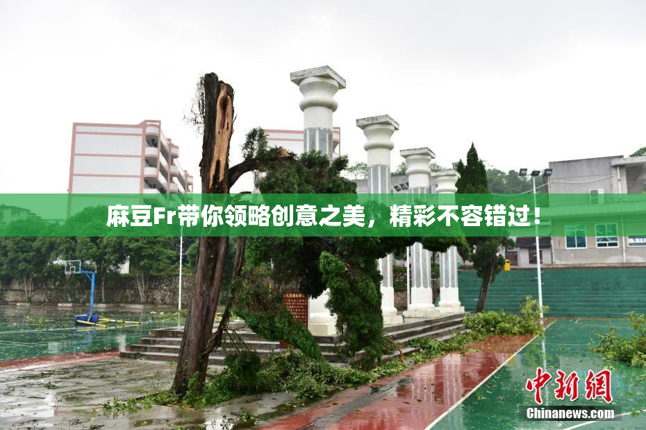 麻豆Fr带你领略创意之美，精彩不容错过！