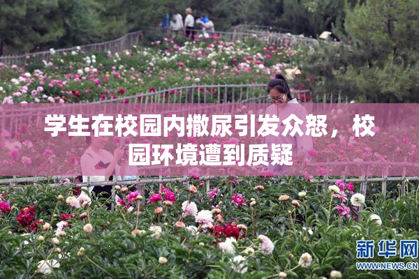 学生在校园内撒尿引发众怒，校园环境遭到质疑