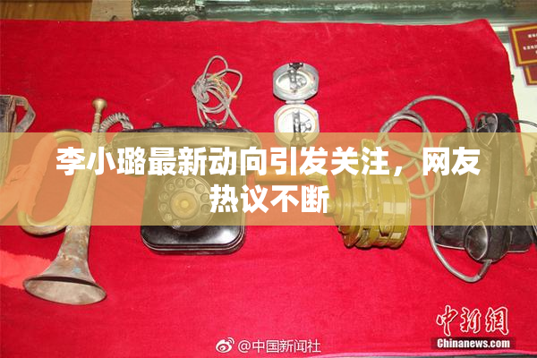 李小璐最新动向引发关注，网友热议不断