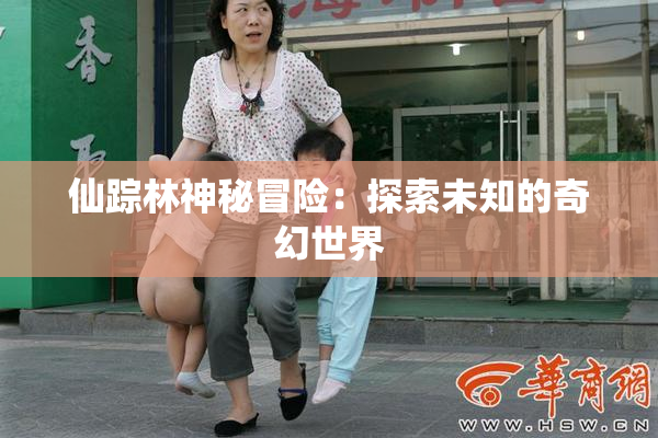 仙踪林神秘冒险：探索未知的奇幻世界
