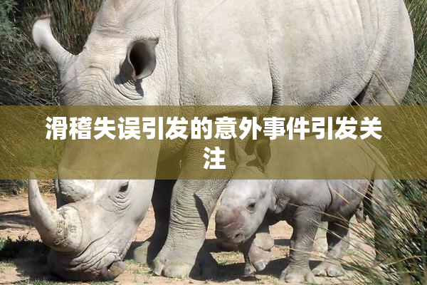 滑稽失误引发的意外事件引发关注