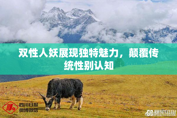 双性人妖展现独特魅力，颠覆传统性别认知