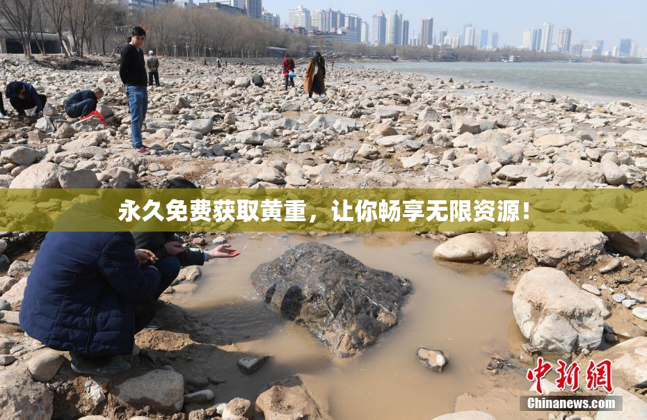 永久免费获取黄重，让你畅享无限资源！