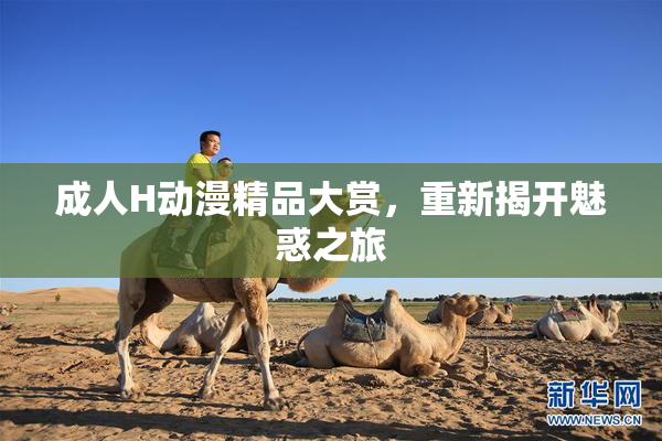 成人H动漫精品大赏，重新揭开魅惑之旅