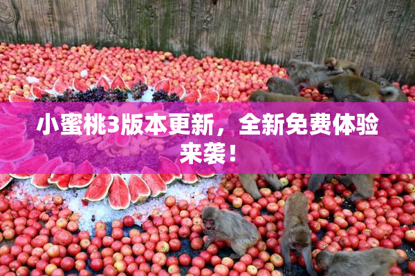 小蜜桃3版本更新，全新免费体验来袭！