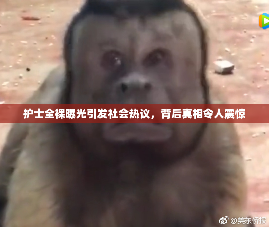 护士全裸曝光引发社会热议，背后真相令人震惊
