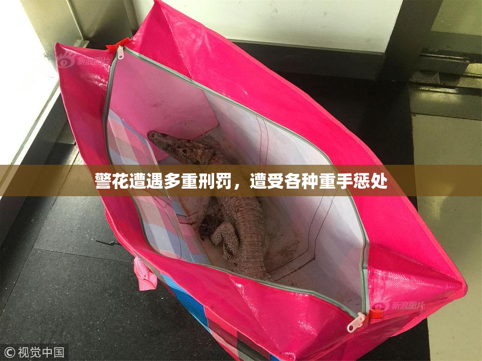 警花遭遇多重刑罚，遭受各种重手惩处