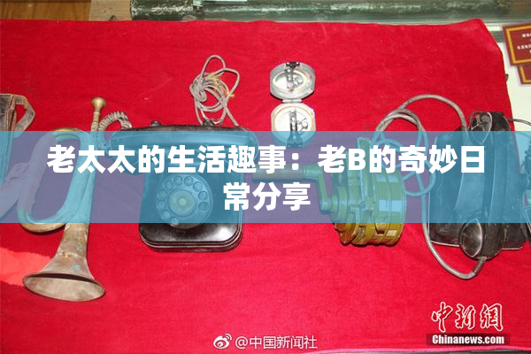老太太的生活趣事：老B的奇妙日常分享
