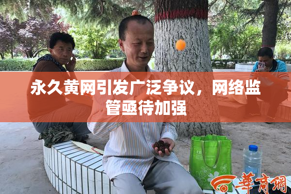 永久黄网引发广泛争议，网络监管亟待加强