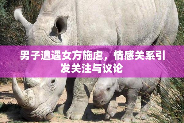 男子遭遇女方施虐，情感关系引发关注与议论