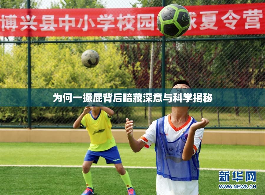 为何一撅屁背后暗藏深意与科学揭秘