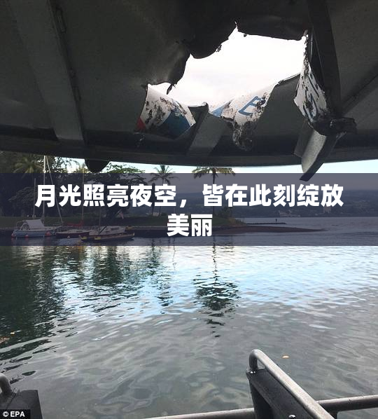 月光照亮夜空，皆在此刻绽放美丽