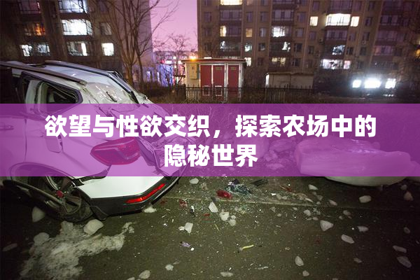 欲望与性欲交织，探索农场中的隐秘世界
