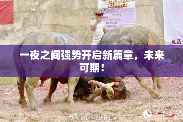 一夜之间强势开启新篇章，未来可期！