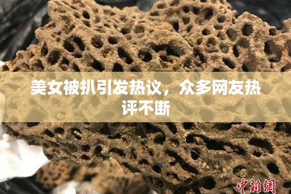 美女被扒引发热议，众多网友热评不断