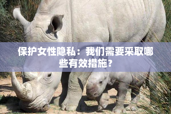 保护女性隐私：我们需要采取哪些有效措施？
