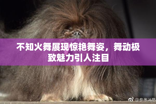 不知火舞展现惊艳舞姿，舞动极致魅力引人注目