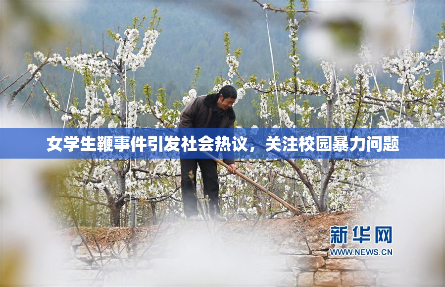 女学生鞭事件引发社会热议，关注校园暴力问题