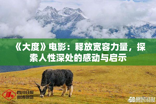 《大度》电影：释放宽容力量，探索人性深处的感动与启示