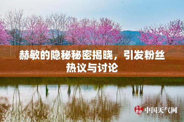 赫敏的隐秘秘密揭晓，引发粉丝热议与讨论