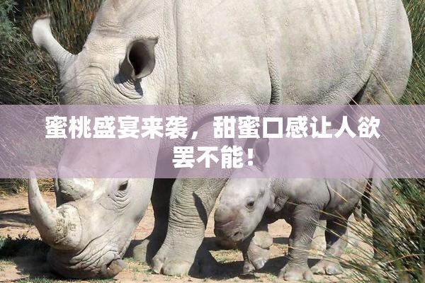 蜜桃盛宴来袭，甜蜜口感让人欲罢不能！
