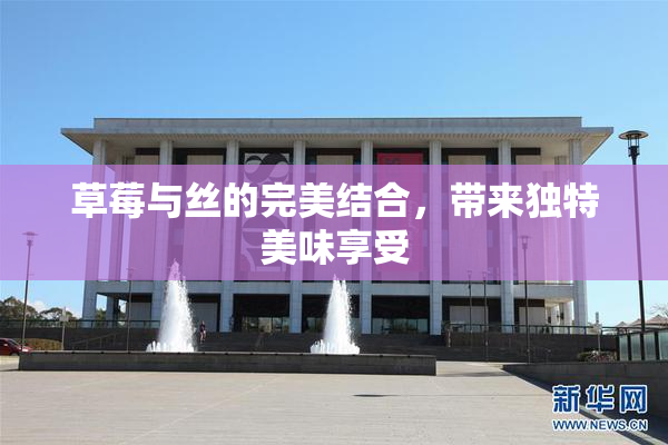 草莓与丝的完美结合，带来独特美味享受