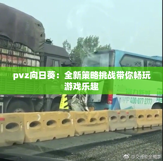 pvz向日葵：全新策略挑战带你畅玩游戏乐趣