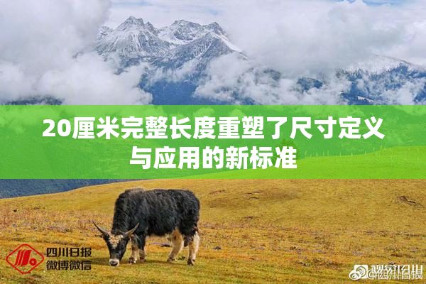 20厘米完整长度重塑了尺寸定义与应用的新标准