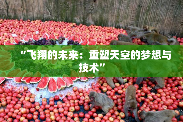 “飞翔的未来：重塑天空的梦想与技术”