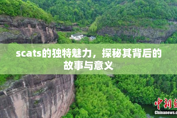 scats的独特魅力，探秘其背后的故事与意义