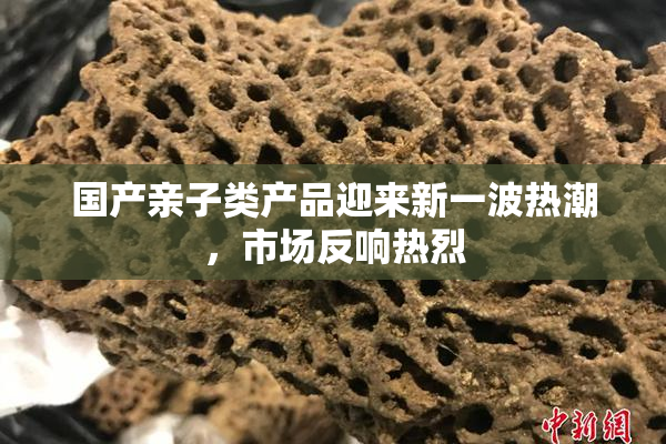 国产亲子类产品迎来新一波热潮，市场反响热烈