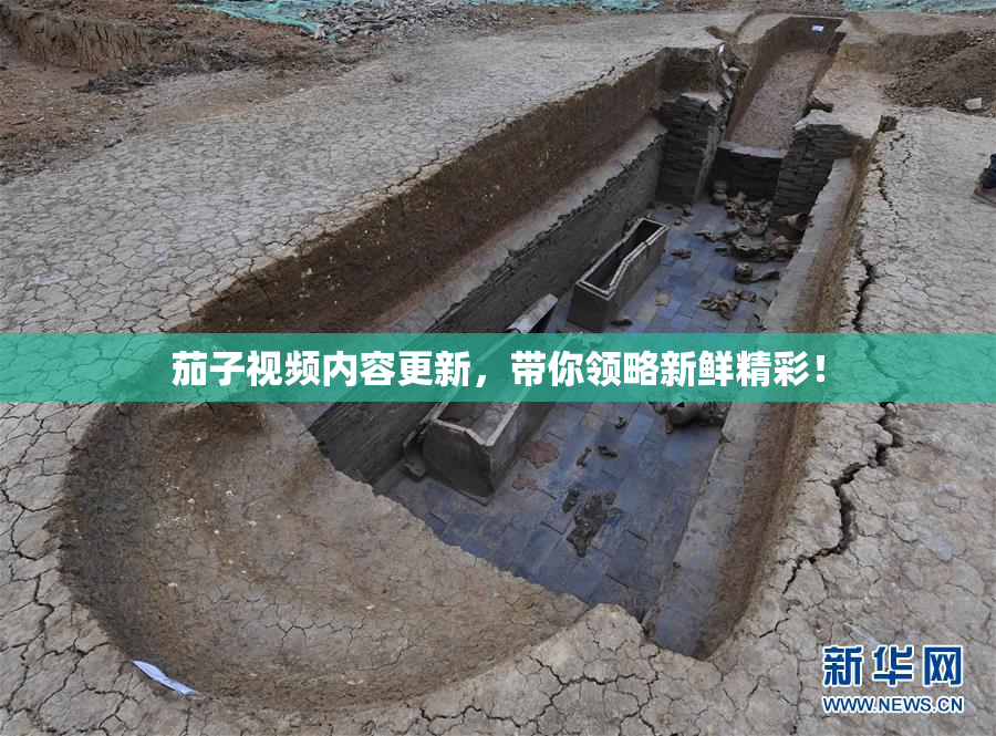 茄子视频内容更新，带你领略新鲜精彩！