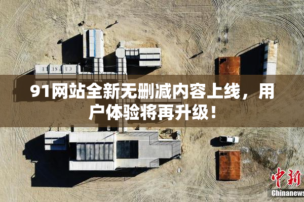 91网站全新无删减内容上线，用户体验将再升级！