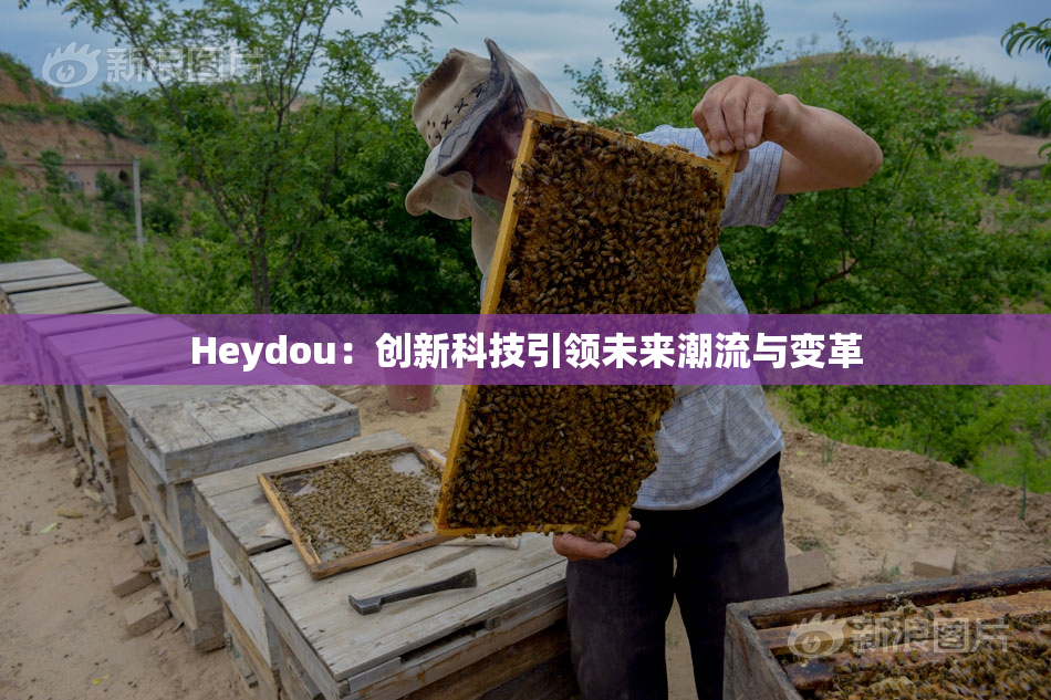 Heydou：创新科技引领未来潮流与变革