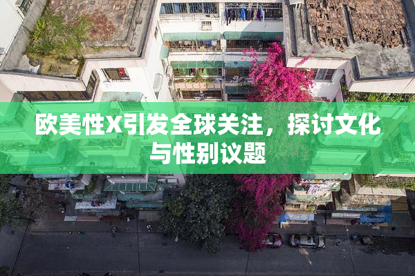 欧美性X引发全球关注，探讨文化与性别议题
