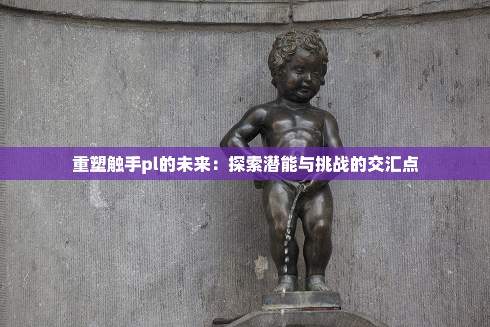 重塑触手pl的未来：探索潜能与挑战的交汇点