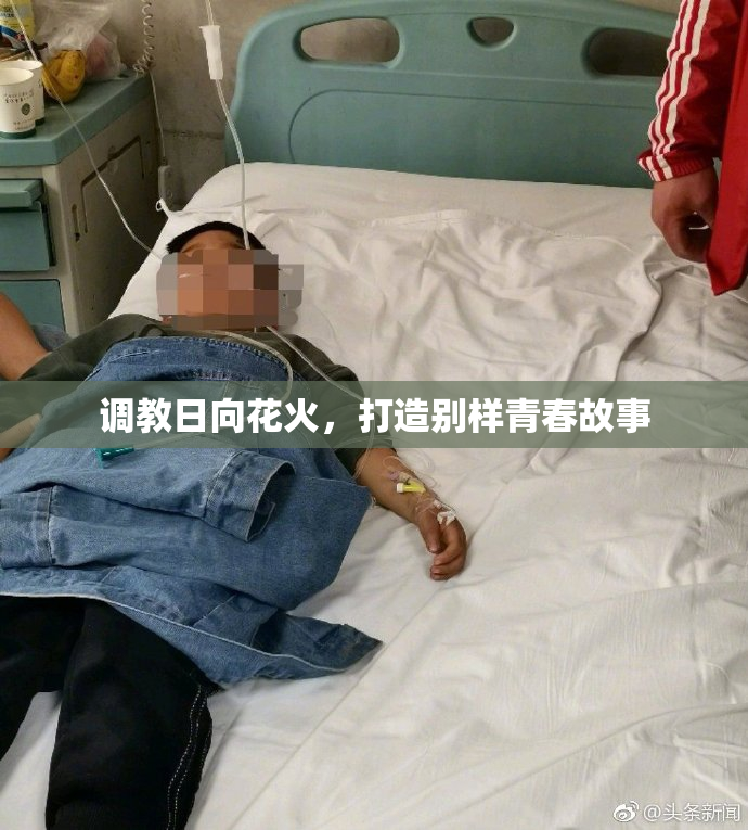 调教日向花火，打造别样青春故事