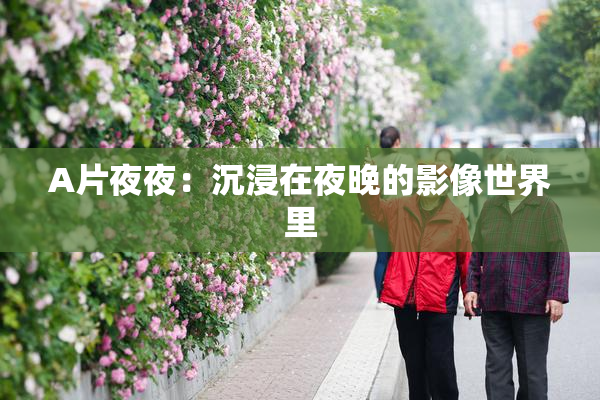 A片夜夜：沉浸在夜晚的影像世界里