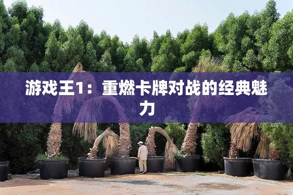 游戏王1：重燃卡牌对战的经典魅力