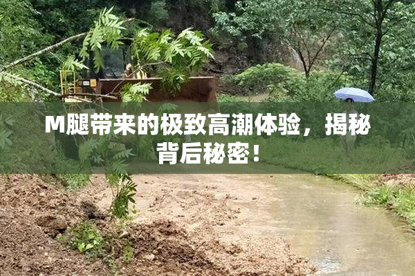 M腿带来的极致高潮体验，揭秘背后秘密！