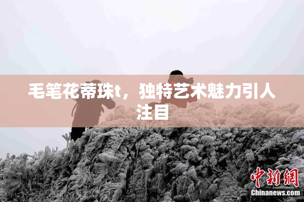毛笔花蒂珠t，独特艺术魅力引人注目